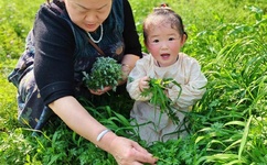 亲亲抱抱举高高打扑克